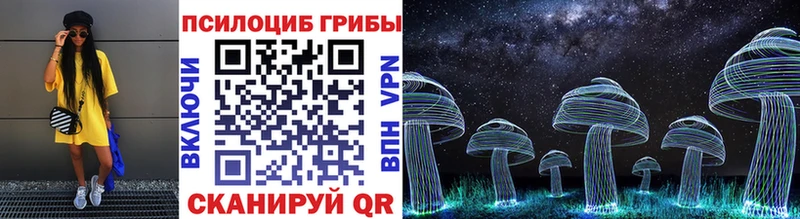Галлюциногенные грибы Psilocybine cubensis продажа наркотиков Приморск
